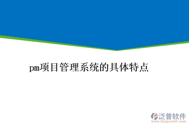 pm項目管理系統(tǒng)的具體特點