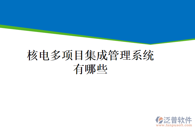 核電多項目集成管理系統有哪些