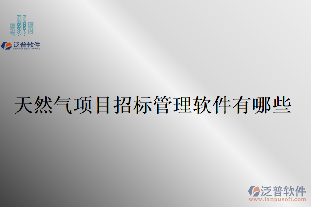 天然氣項目招標(biāo)管理軟件有哪些