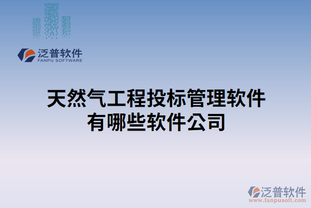 天然氣工程投標管理軟件有哪些軟件公司