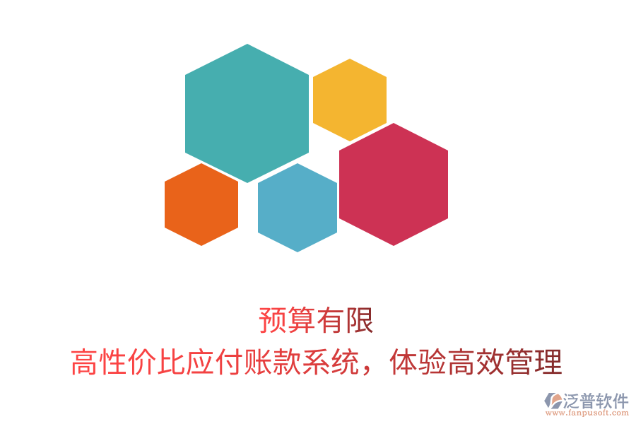 預算有限？高性價比應付賬款系統(tǒng)，體驗高效管理