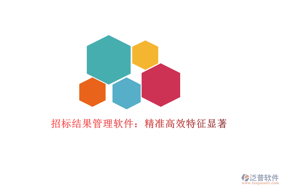 招標(biāo)結(jié)果管理軟件：精準(zhǔn)高效，特征顯著