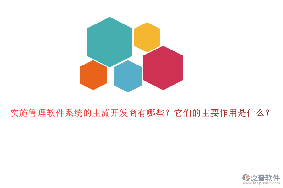 實(shí)施管理軟件系統(tǒng)的主流開(kāi)發(fā)商有哪些？它們的主要作用是什么？
