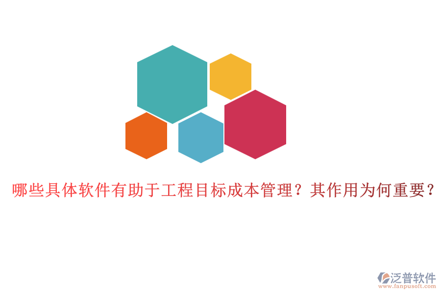 哪些具體軟件有助于工程目標(biāo)成本管理？其作用為何重要？