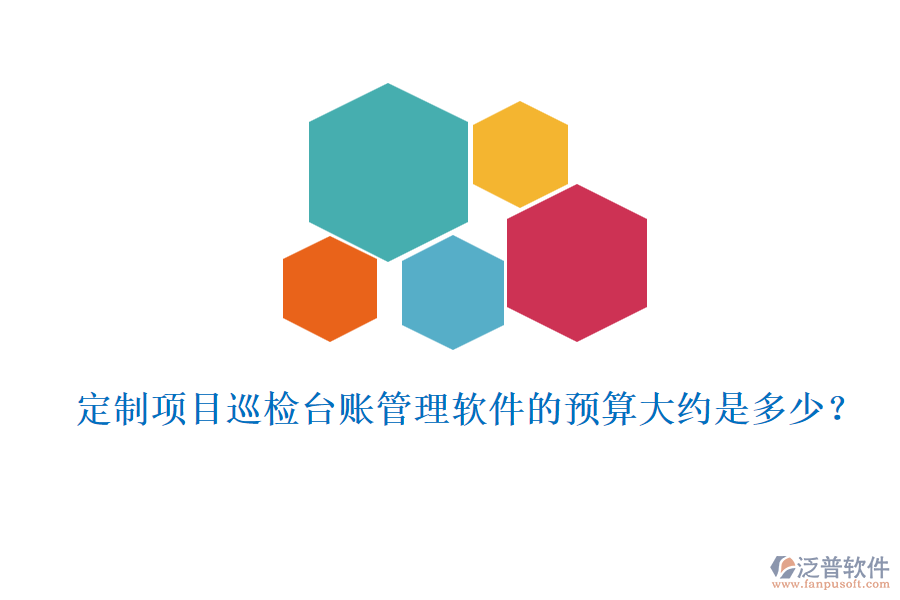 定制項(xiàng)目巡檢臺(tái)賬管理軟件的預(yù)算大約是多少？