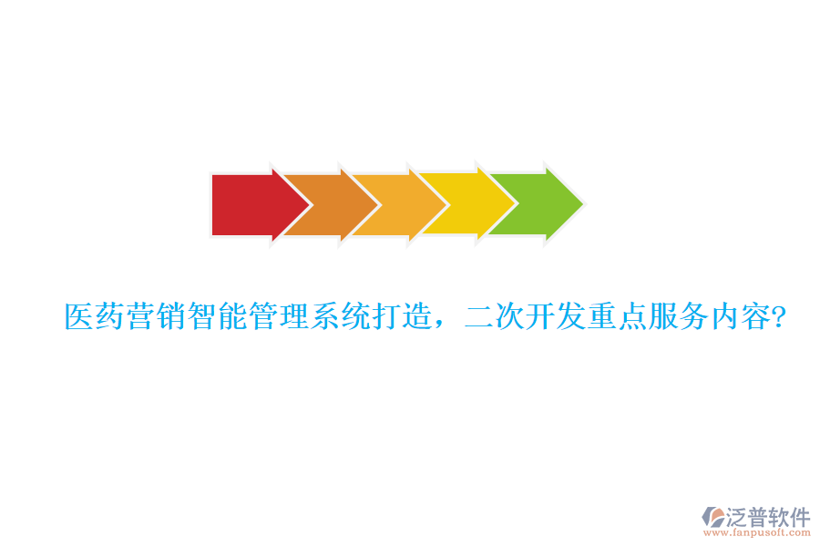 醫(yī)藥營銷智能管理系統(tǒng)打造，二次開發(fā)重點服務(wù)內(nèi)容?