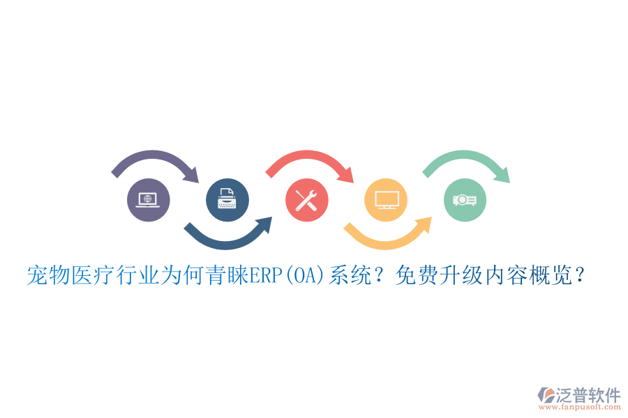 寵物醫(yī)療行業(yè)為何青睞ERP(OA)系統(tǒng)？免費升級內(nèi)容概覽？