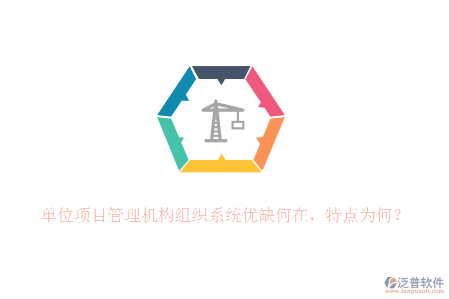 單位項目管理機(jī)構(gòu)組織系統(tǒng)優(yōu)缺何在，特點為何？