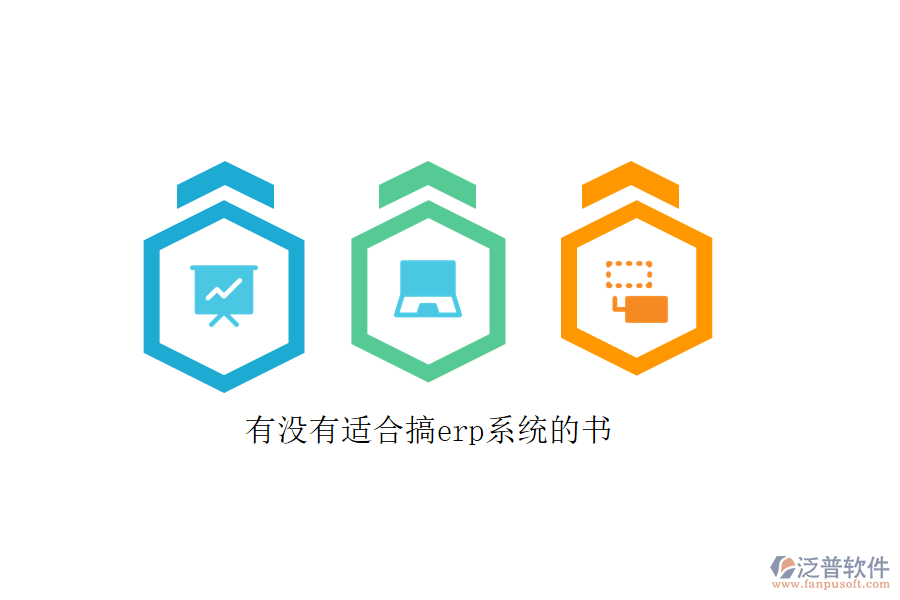 有沒(méi)有適合搞erp系統(tǒng)的書
