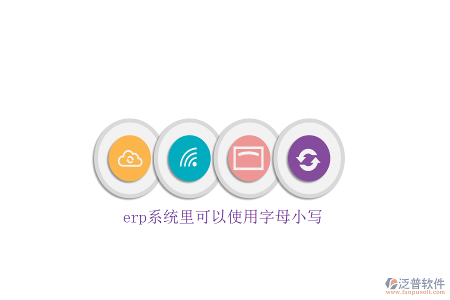 erp系統(tǒng)里可以使用字母小寫(xiě)