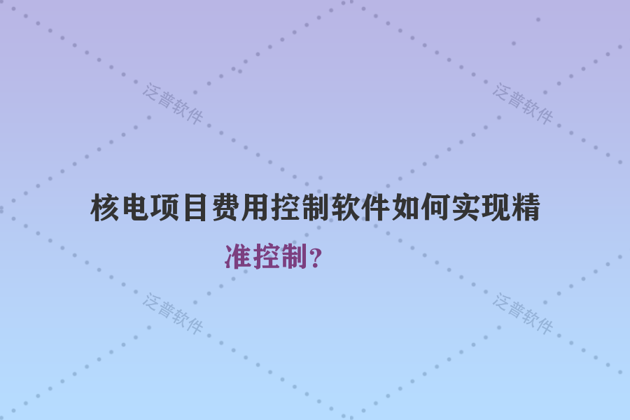 核電項目費用控制軟件如何實現(xiàn)精準(zhǔn)控制？