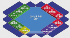 sap財務(wù)軟件的表設(shè)計通常給出兩種建議方案