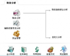 財務軟件免費版的優(yōu)缺點有哪些？