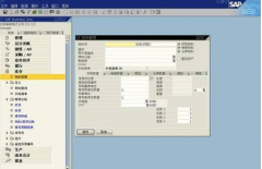 在哪里能下載到SAP財務(wù)軟件呢？
