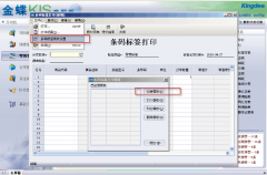 金蝶KIS商貿(mào)版打印問題？