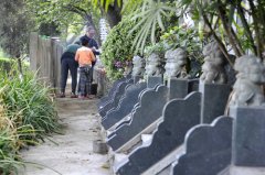 清明前首個小高峰 約1000萬人去祭掃，大堵車不可避免