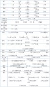 顧客皮膚分析咨詢卡